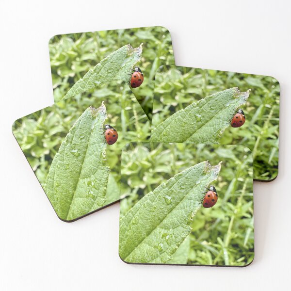 Item preview, Curious Ladybug Crawling Along Textured Leaf Edge designed and sold by donekerry.