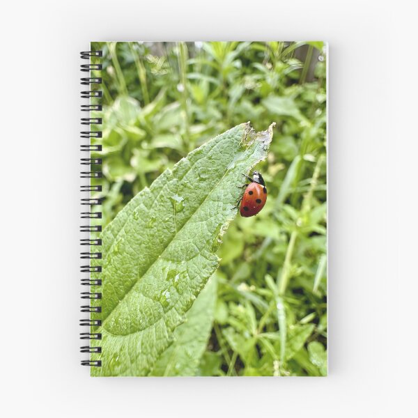 Item preview, Curious Ladybug Crawling Along Textured Leaf Edge designed and sold by donekerry.