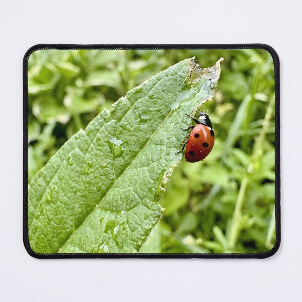 Item preview, Curious Ladybug Crawling Along Textured Leaf Edge designed and sold by donekerry.
