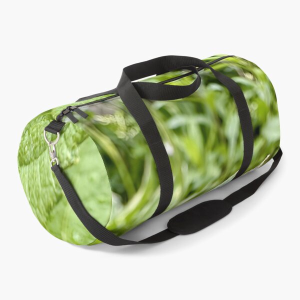 Item preview, Curious Ladybug Crawling Along Textured Leaf Edge designed and sold by donekerry.