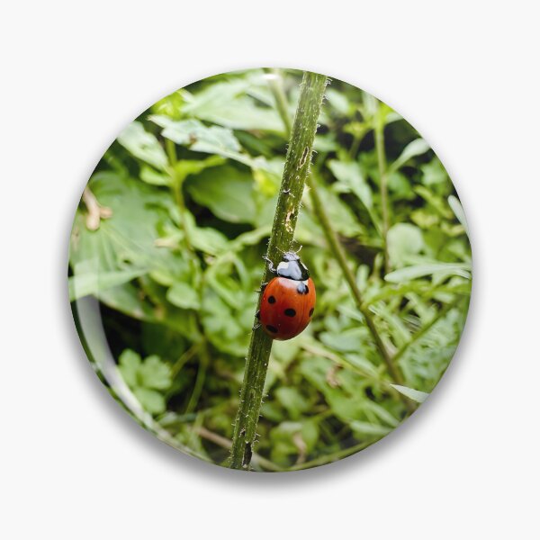 Item preview, Red Ladybug Climbing Tall Green Plant Stem designed and sold by donekerry.