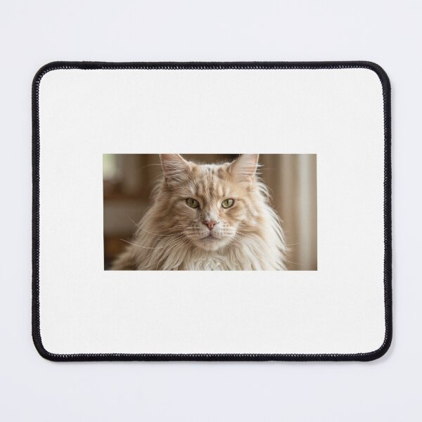 Item preview, Big cat designed and sold by Stevercortinas.