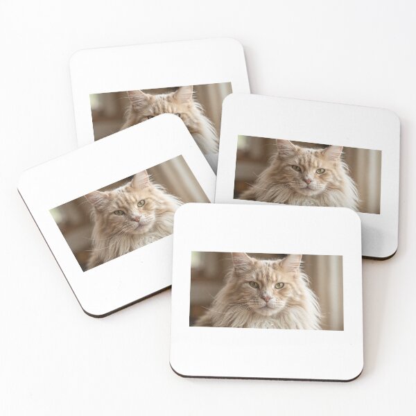 Item preview, Big cat designed and sold by Stevercortinas.