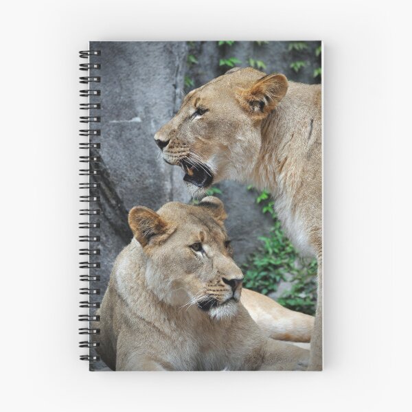 Item preview, Two Lionesses  designed and sold by Savannah Gibbs.