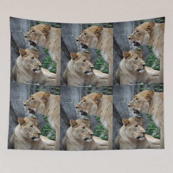 Item preview, Two Lionesses  designed and sold by Savannah Gibbs.