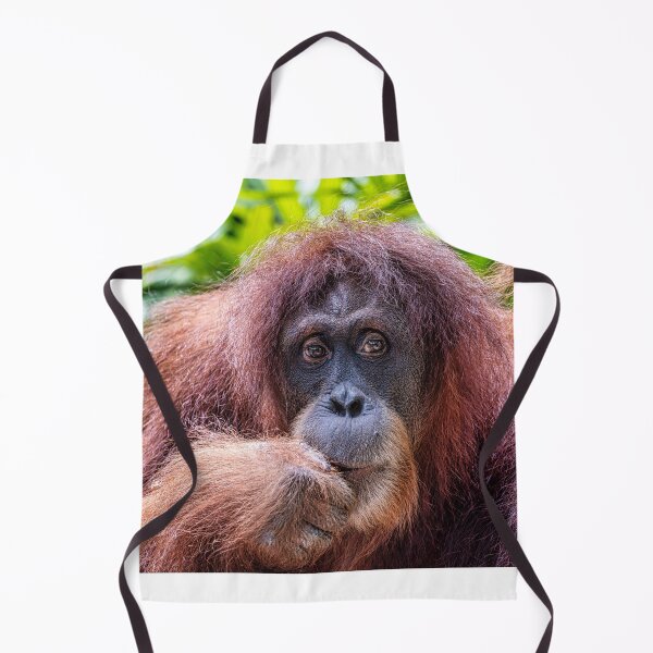 Item preview, Orang Utan 11 designed and sold by photograham.