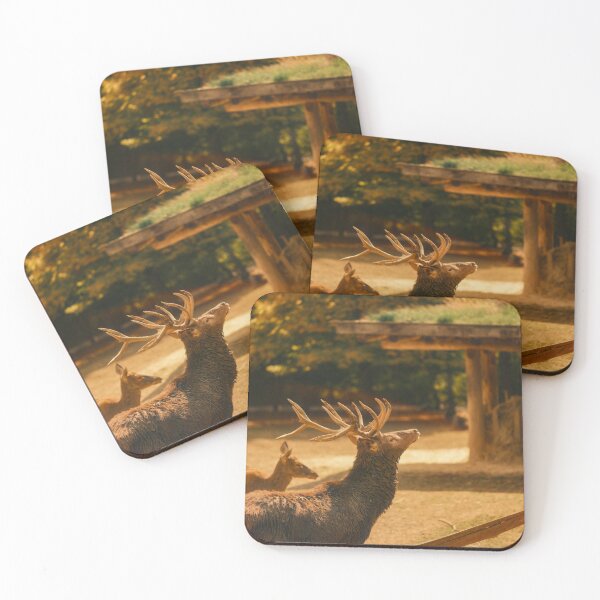 Item preview, Moonlit BHP billiton Lavender Fields designed and sold by Marakralafox.