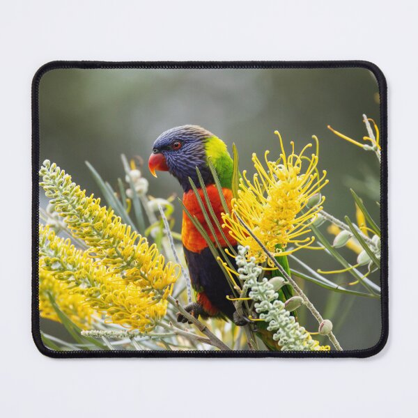 Item preview, Rainbow Lorikeet designed and sold by Malcolm Katon.
