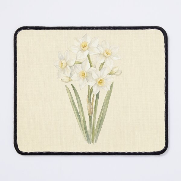 Item preview, December Birth Flower Narcissus Watercolor | Botanical Wall Art designed and sold by FixationStudio.