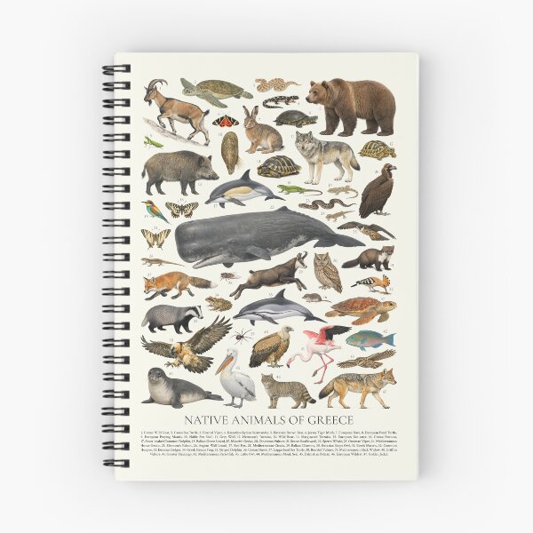 Item preview, Native Animals of Greece Retro Style Identification Chart designed and sold by kakarikihill.