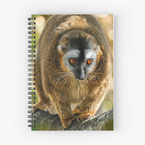 Item preview, Bright-Eyed Lemur in Nature designed and sold by Savannah Gibbs.