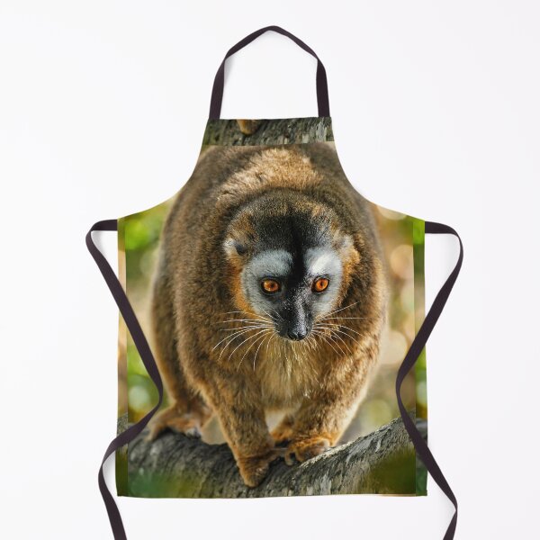 Item preview, Bright-Eyed Lemur in Nature designed and sold by Savannah Gibbs.