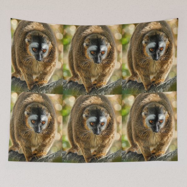 Item preview, Bright-Eyed Lemur in Nature designed and sold by Savannah Gibbs.