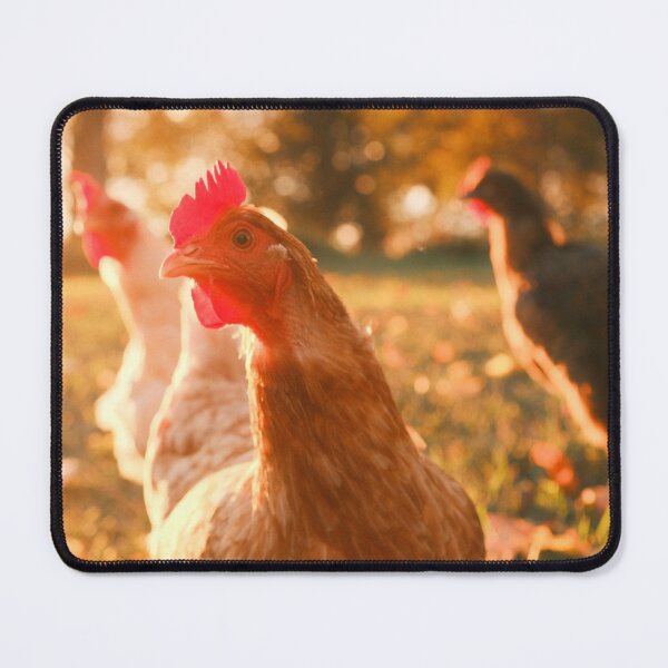 Item preview, Bold Besiktas JK dOrange Expression designed and sold by agvcdrd.