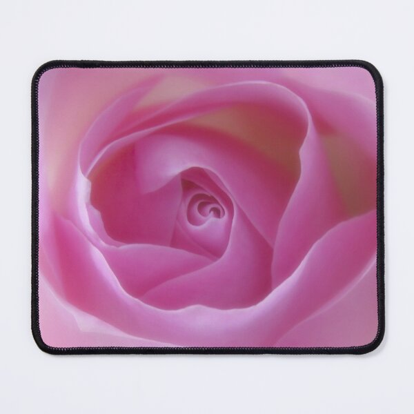Item preview, A Gorgeous Soft Pink Rose Closeup designed and sold by JonnaHurmerinta.