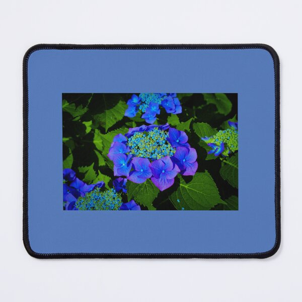 Item preview, nature 9 designed and sold by ° Salvan design °.