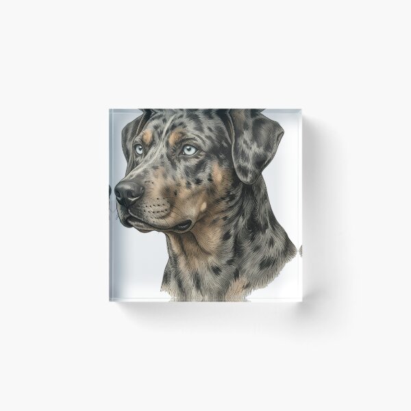 Item preview, Vintage Naturalist Catahoula Leopard Dog Portrait — Antique Dog Breed Art designed and sold by Catch333.