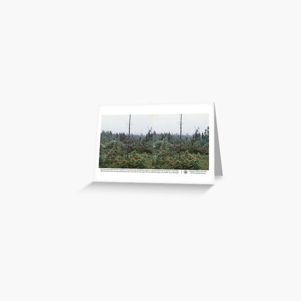 Nova Scotia Trees Greeting Card