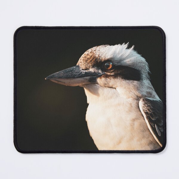 Item preview, Laughing Kookaburra designed and sold by robdanimalphotography.