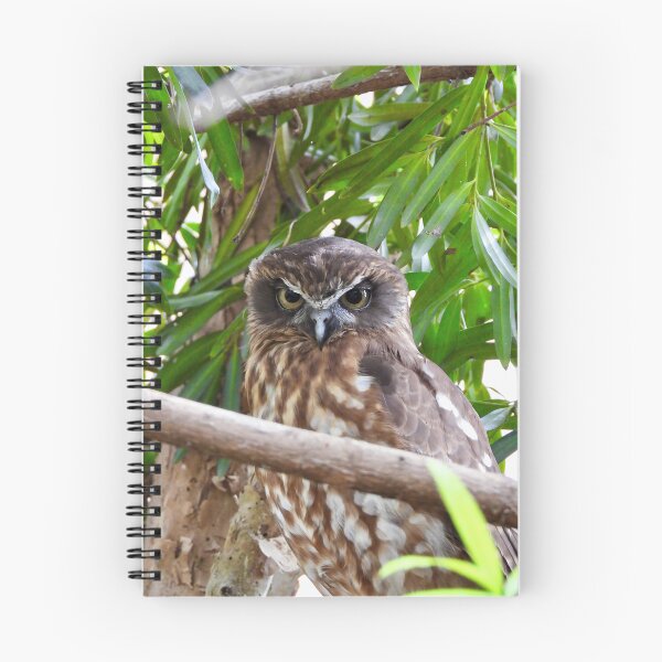 Item preview, Australian Boobook Owl designed and sold by Mark Grimsley.