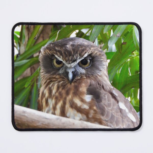 Item preview, Australian Boobook Owl designed and sold by Mark Grimsley.