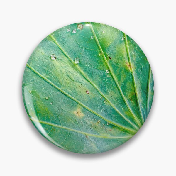 Item preview, Water Droplets On Radial Lotus Leaf - Zen Botanical Macro Pattern Photography designed and sold by kimwhatbely.