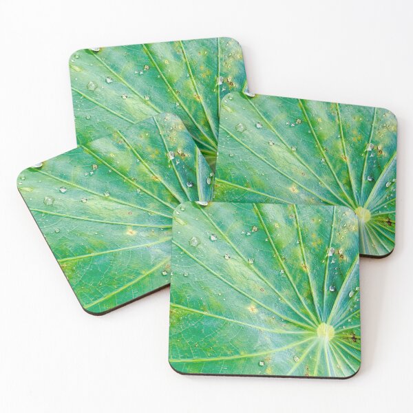 Item preview, Water Droplets On Radial Lotus Leaf - Zen Botanical Macro Pattern Photography designed and sold by kimwhatbely.