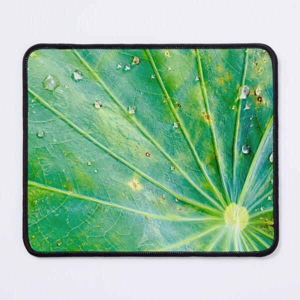 Item preview, Water Droplets On Radial Lotus Leaf - Zen Botanical Macro Pattern Photography designed and sold by kimwhatbely.