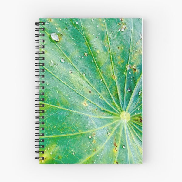 Item preview, Water Droplets On Radial Lotus Leaf - Zen Botanical Macro Pattern Photography designed and sold by kimwhatbely.