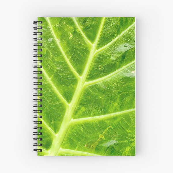 Item preview, Bold Green Elephant Ear Leaf Veins - Tropical Alocasia Botanical Pattern Art designed and sold by kimwhatbely.