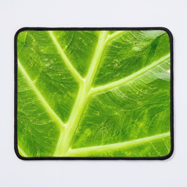 Item preview, Bold Green Elephant Ear Leaf Veins - Tropical Alocasia Botanical Pattern Art designed and sold by kimwhatbely.
