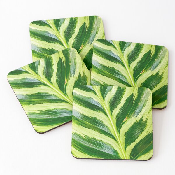 Item preview, Variegated Green And White Foliage Texture - Exotic Calathea Leaf Pattern Art designed and sold by kimwhatbely.