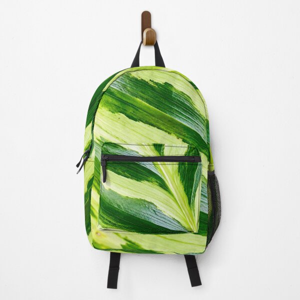 Item preview, Variegated Green And White Foliage Texture - Exotic Calathea Leaf Pattern Art designed and sold by kimwhatbely.