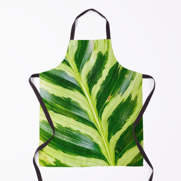 Item preview, Variegated Green And White Foliage Texture - Exotic Calathea Leaf Pattern Art designed and sold by kimwhatbely.