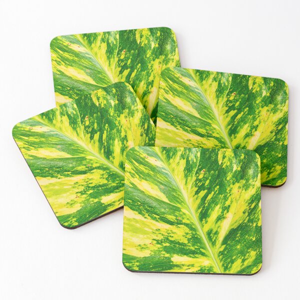 Item preview, Golden Pothos Variegated Leaf Texture - Splash Marble Green Botanical Photography designed and sold by kimwhatbely.
