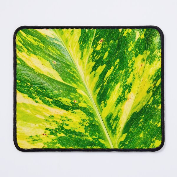 Item preview, Golden Pothos Variegated Leaf Texture - Splash Marble Green Botanical Photography designed and sold by kimwhatbely.