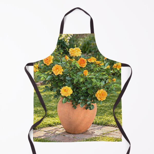 Item preview, Golden Yellow Rose Garden in Terracotta Pot designed and sold by Wild Bloom Paws.