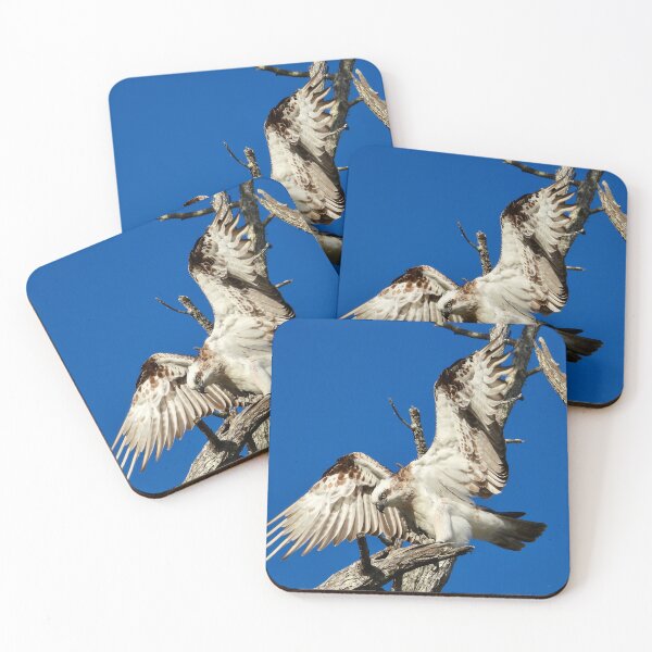Item preview, Spread your wings designed and sold by Mark Grimsley.