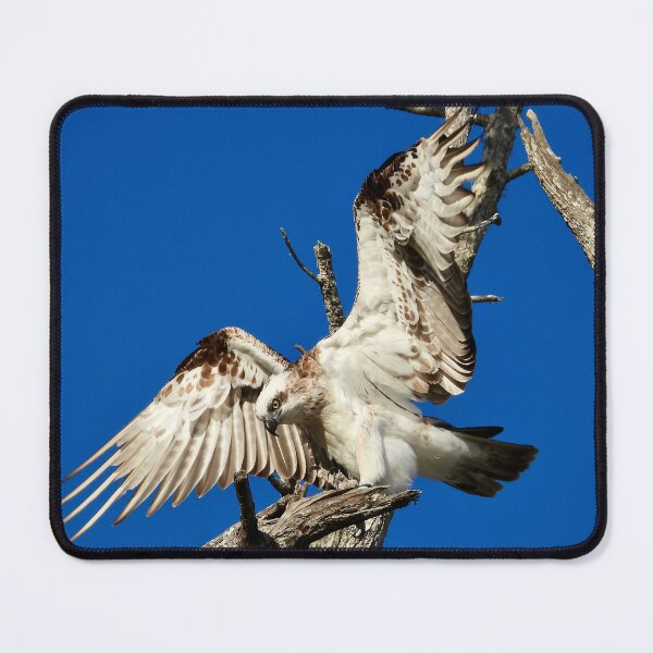 Item preview, Spread your wings designed and sold by Mark Grimsley.
