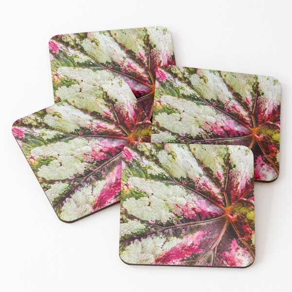 Item preview, Rex Begonia Foliage Texture - Magenta Pink And Silver Painted Leaf Art designed and sold by kimwhatbely.