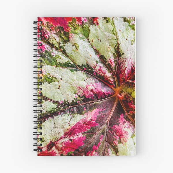 Item preview, Rex Begonia Foliage Texture - Magenta Pink And Silver Painted Leaf Art designed and sold by kimwhatbely.