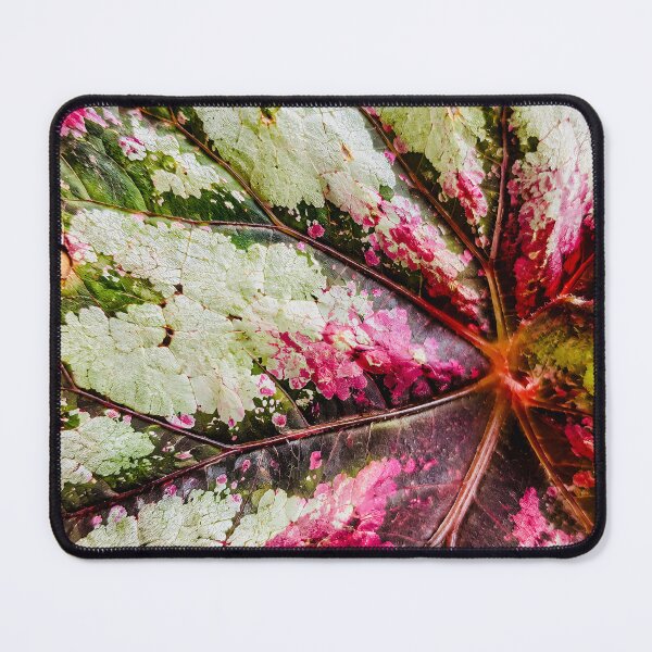 Item preview, Rex Begonia Foliage Texture - Magenta Pink And Silver Painted Leaf Art designed and sold by kimwhatbely.