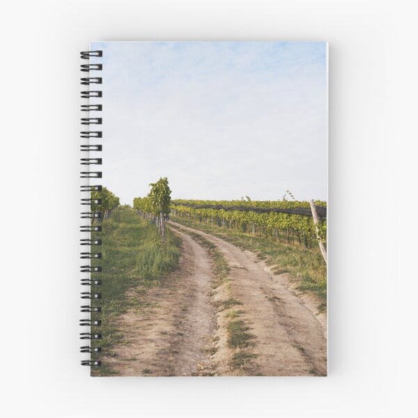 Item preview, Vineyard Path Beneath the Hail Net | Rustic Wine Country Print designed and sold by danmanYEAH.