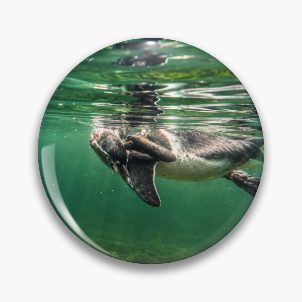 Item preview, Lost in Thought, A Penguin's Quiet Underwater Moment designed and sold by Astute-Artio-Photography.