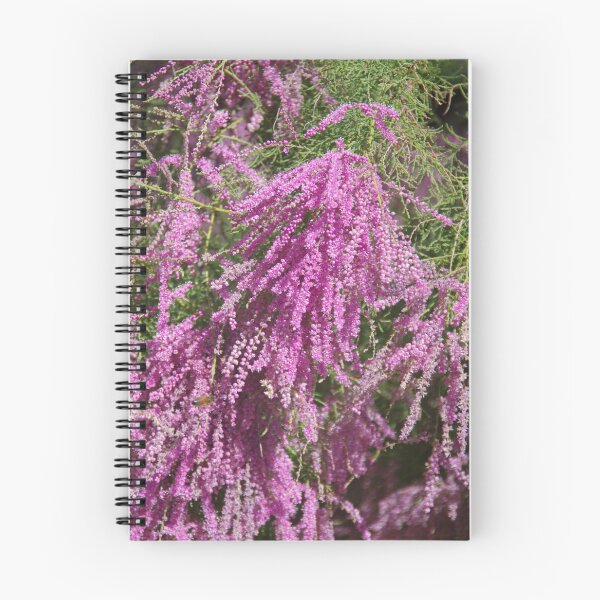 Item preview, Tamarisk designed and sold by lezvee.
