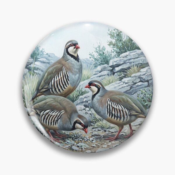 Item preview, Rock Partridge Alectoris Graeca Hunting Birds designed and sold by TammyHunterArt.