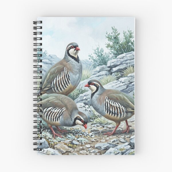 Item preview, Rock Partridge Alectoris Graeca Hunting Birds designed and sold by TammyHunterArt.