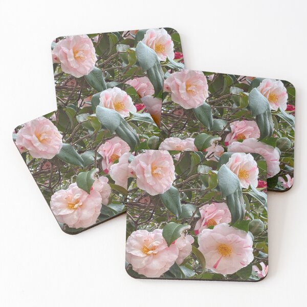 Item preview, Pink Camellia flowers in Sydney Australia  designed and sold by Unique Vania.