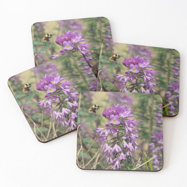 Item preview, Rocky Mountain Bee Plant with Tri Colored Bee designed and sold by SOdonata.
