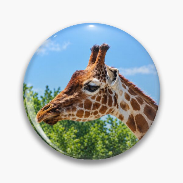 Item preview, Gentle Giant, A Close-up Portrait Against the Blue Sky designed and sold by Astute-Artio-Photography.